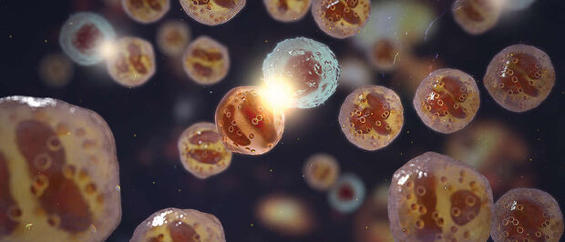 Therapiegebiet Atemwege & Immunologie