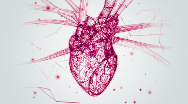 chronic kidney disease solution