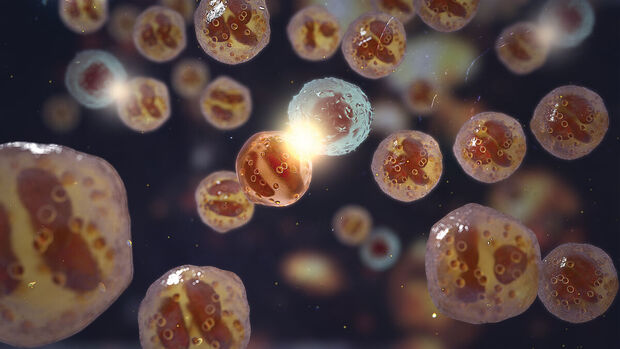 Eosinophile Entzündung