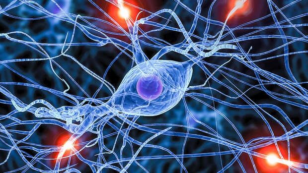 Vorschaubild Neurowissenschaften, Neuronen im Gehirn, wissenschaftliche Illustration von AstraZeneca