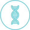 Icon DNA-Doppelhelix